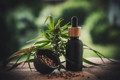 De geheime kracht van CBD - Prohemp.nl